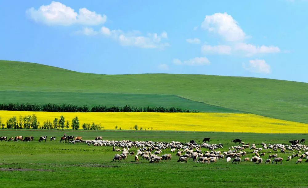 内蒙古草原繁荣与文化瑰宝探秘