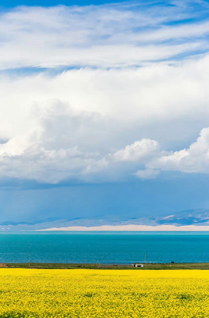 青海，大自然的调色板，绚烂多彩的画卷🌄🍃🌿